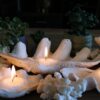 SandWax-A Natural Way to Create Your Perfect Candle 120g/200ml - Image 4