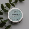 Naartjie Lip Balm – Uplifting & Revitalising - Image 2